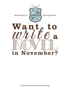 NaNoWriMo Flyer.