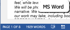 MS Word  - Word Count